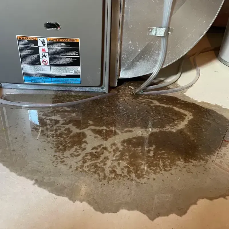 Appliance Leak Cleanup in San Antonio Heights, CA